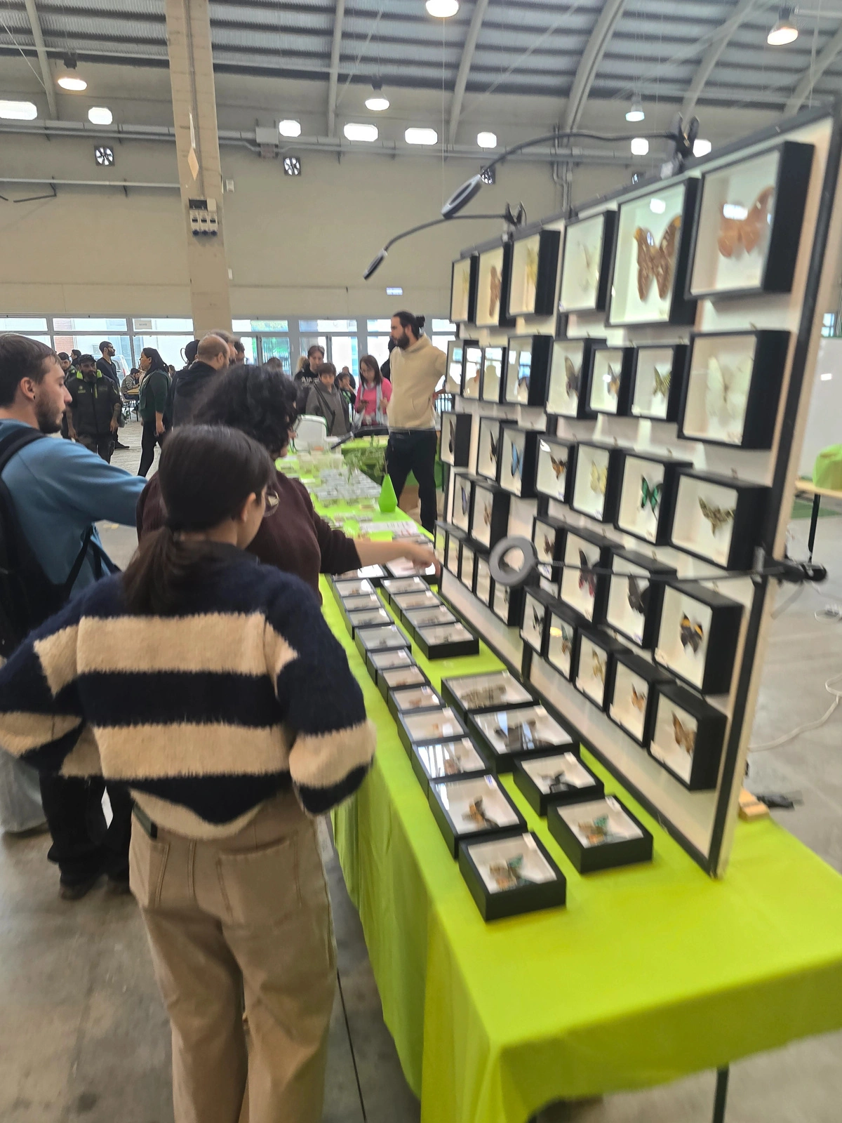 Esotika Pet Show Massa Carrara 图片 3
