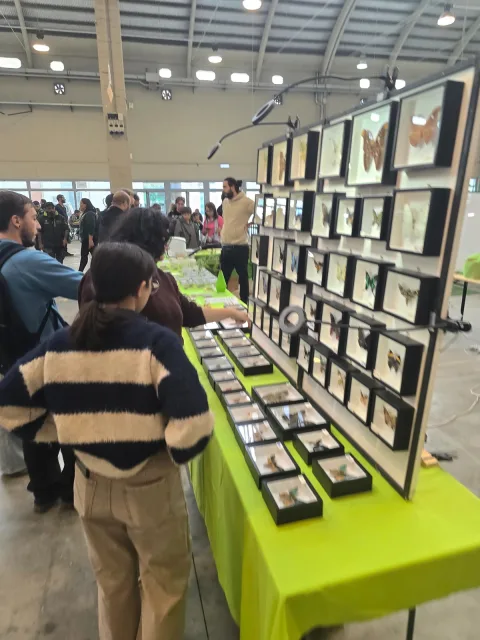 展会现场 3