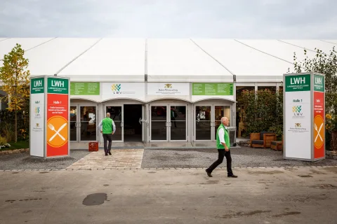 Onsite image 8