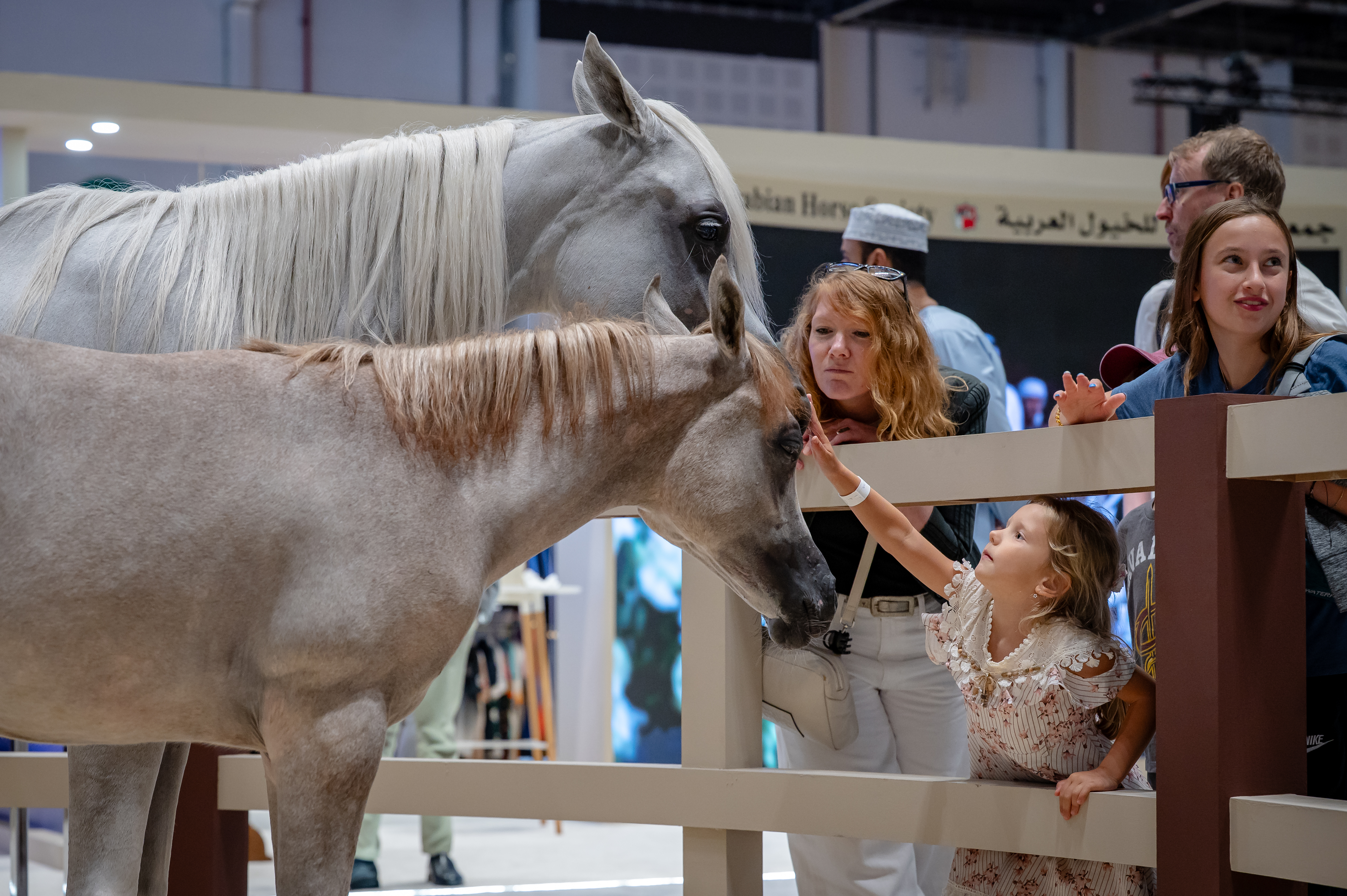Abu Dhabi International Hunting and Equestrian Exhibition (ADIHEX) 图片 5