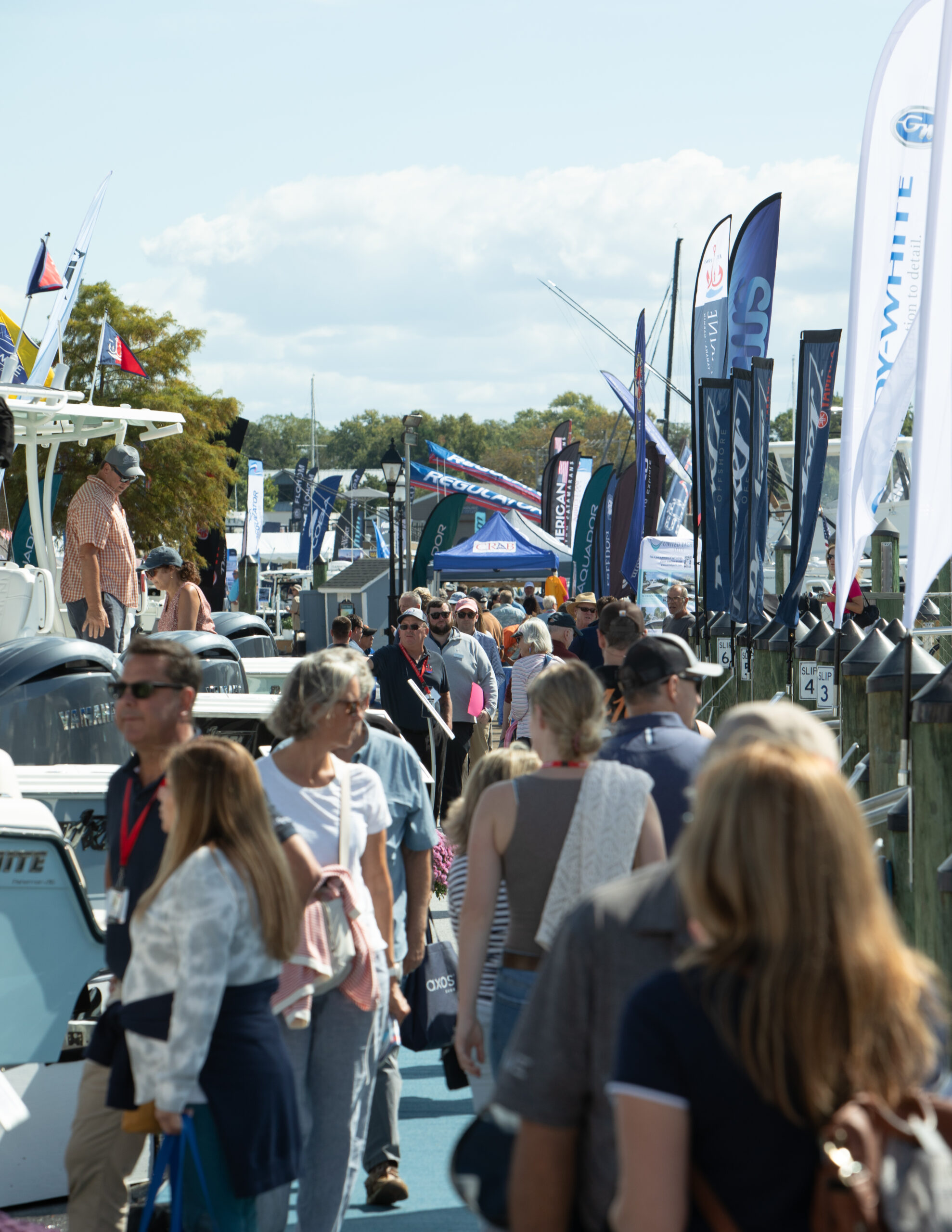 Annapolis Powerboat Show 图片 2
