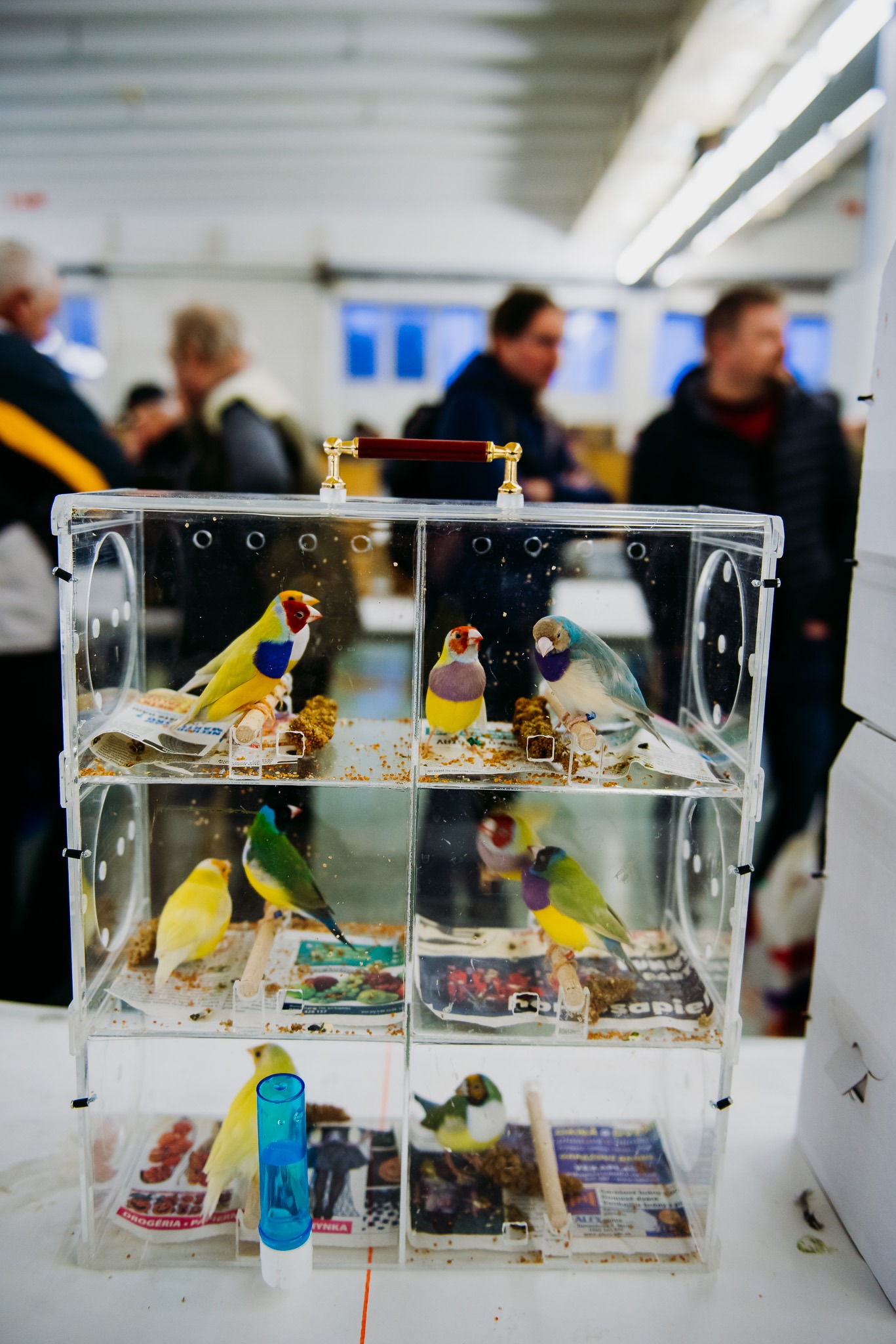 International Fair of Exotic Animals Nitra 图片 4