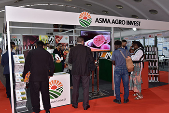 Morocco Food Expo 图片 5