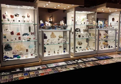 展会现场 1