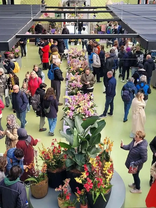 Fête des Plantes d'Automne 图片 4