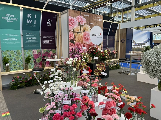 Fête des Plantes d'Automne 图片 5