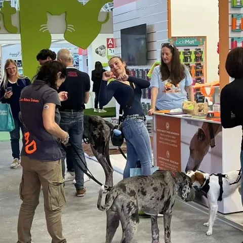 展会现场 7