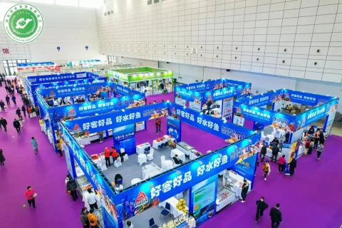 展会现场 3