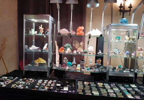 展会现场 8