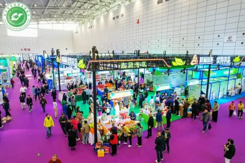 展会现场 1