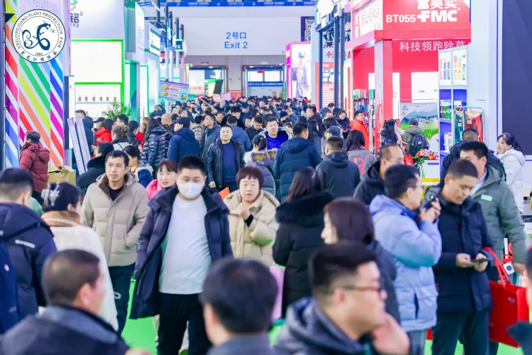 Phoenix Agricultural Inputs Festival | Northeast | Harbin 图片 5