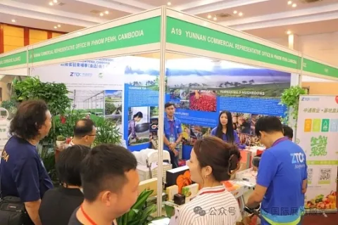 展会现场 2