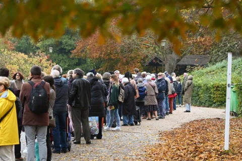 Onsite image 1