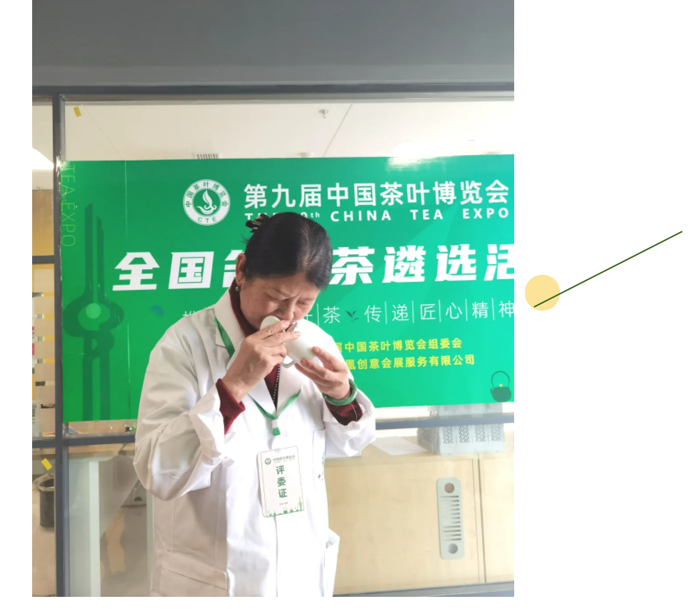 China Tea Expo 图片 5