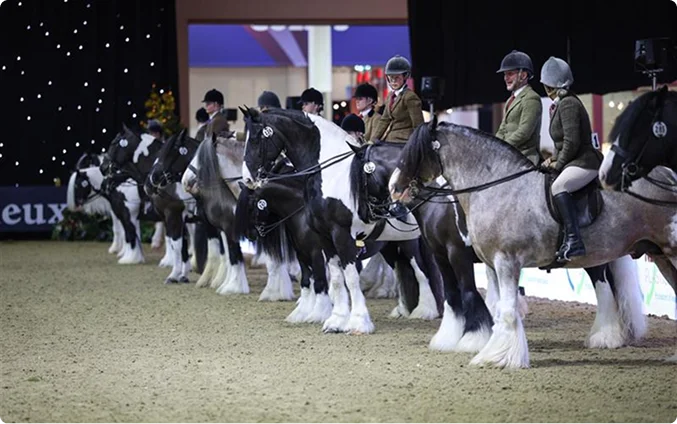 London International Horse Show 图片 4