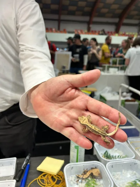 展会现场 4
