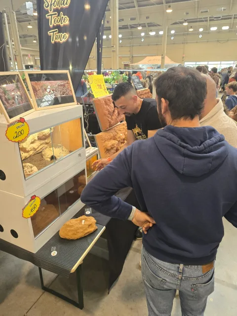 展会现场 7