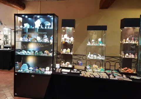 展会现场 6