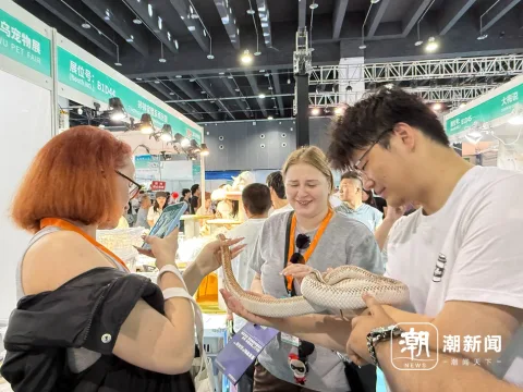 展会现场 9