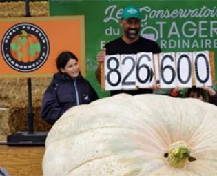 Incroyables Légumes