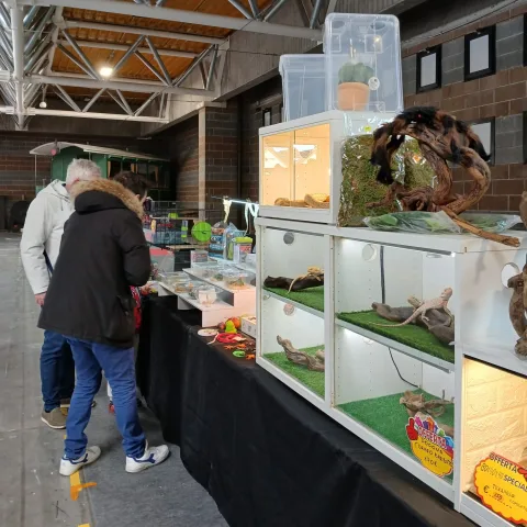 Onsite image 15