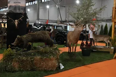 展会现场 8