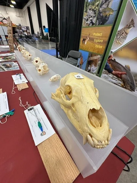 展会现场 6