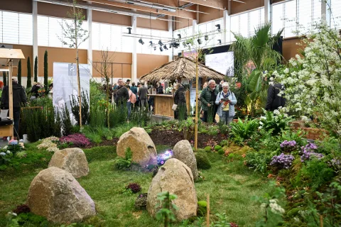 Onsite image 12