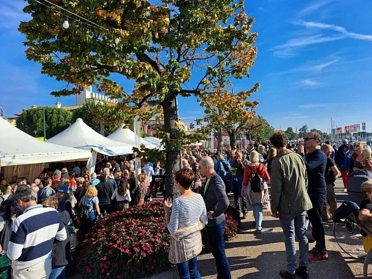 Tacoma Holiday Festival