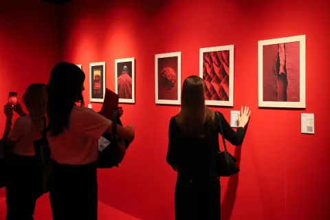 Onsite image 15