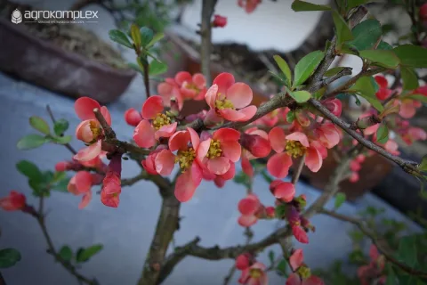 展会现场 12