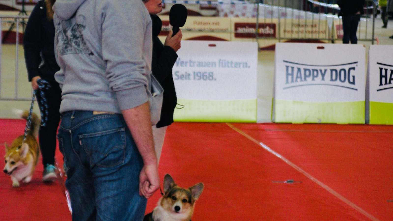 MEIN HUND MESSE – Rosenheim 图片 4