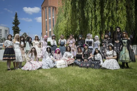 Onsite image 11
