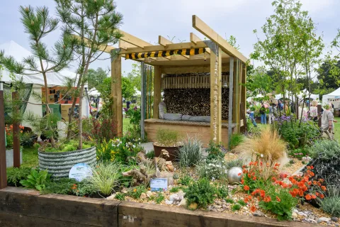 Onsite image 5