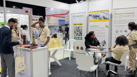 Onsite image 13