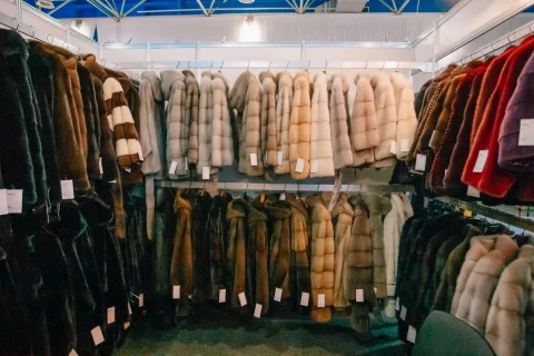 展会现场 12
