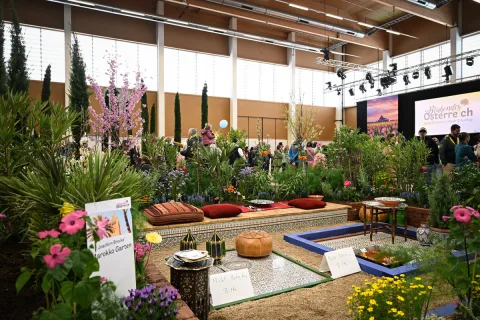 Onsite image 14