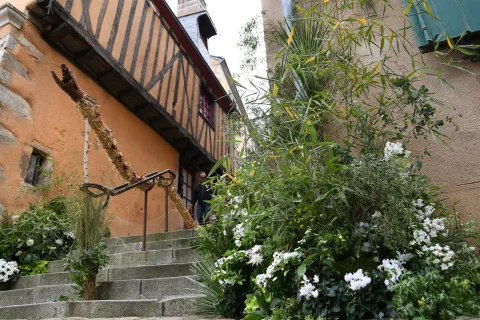 Onsite image 4