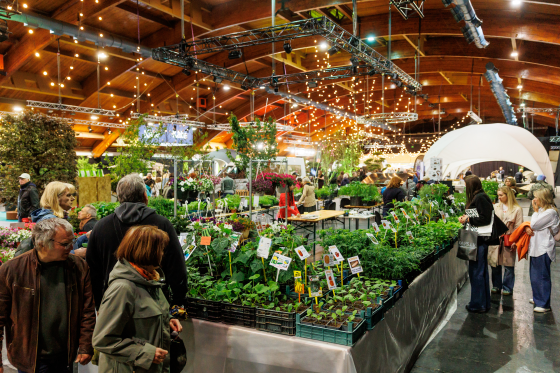 GARDEN AND LIFESTYLE 图片 2