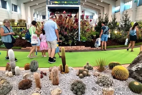 展会现场 4