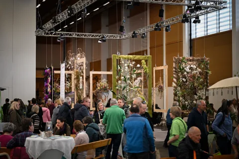 Onsite image 2