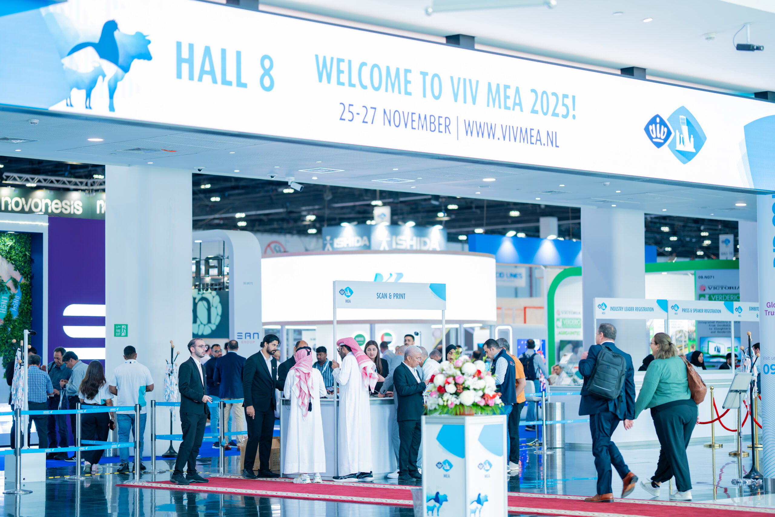 VIV MEA 图片 4