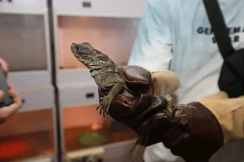 展会现场 8