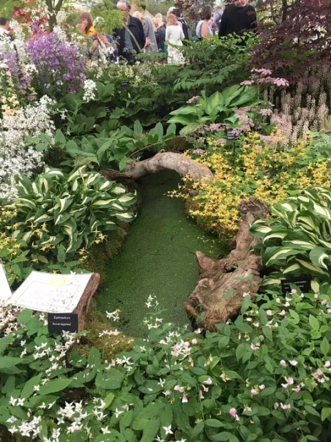 展会现场 6