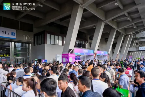 展会现场 5