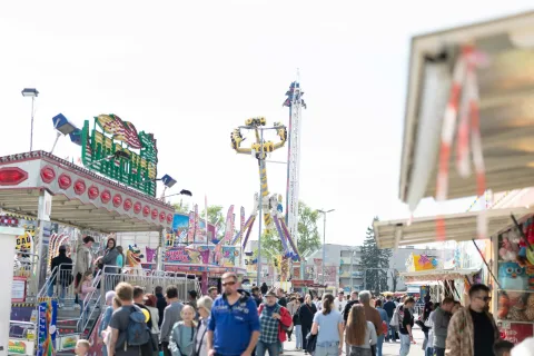 Onsite image 5