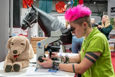 展会现场 15