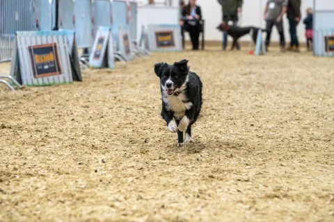 展会现场 10