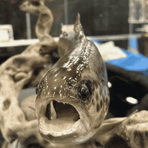 展会现场 8