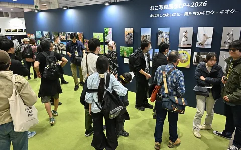 展会现场 3